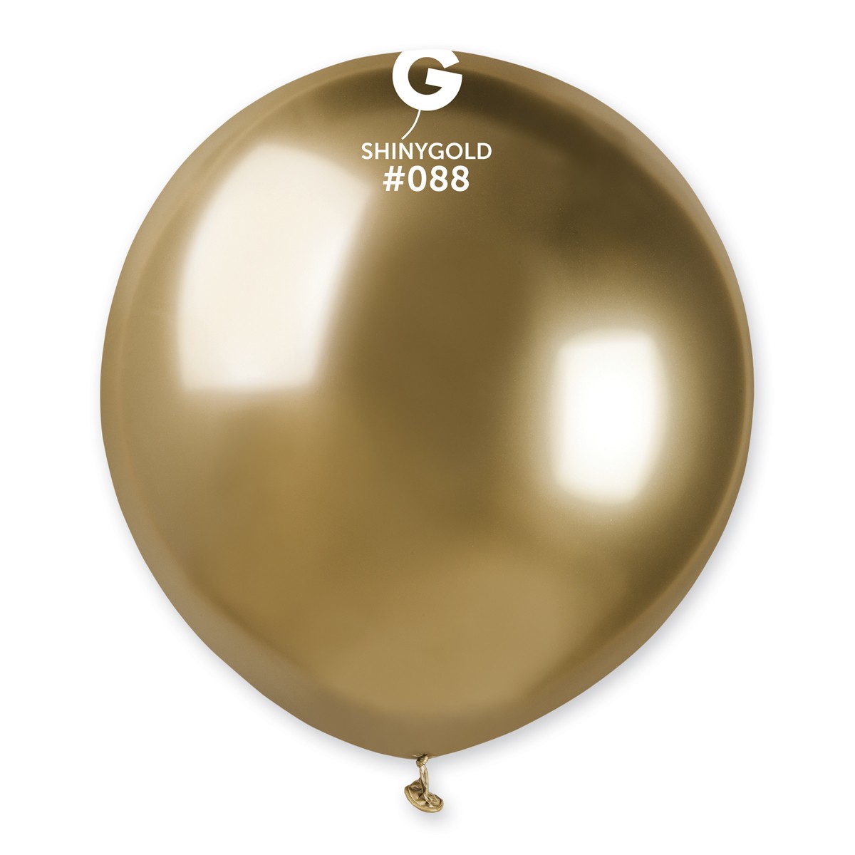 Shiny Gold / Oro Brillante - Imagen 2