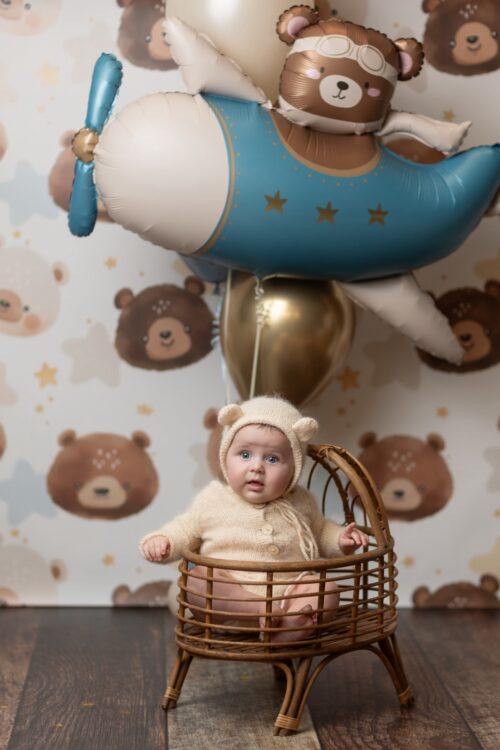 Ramillete de Globos Osito Aviador
